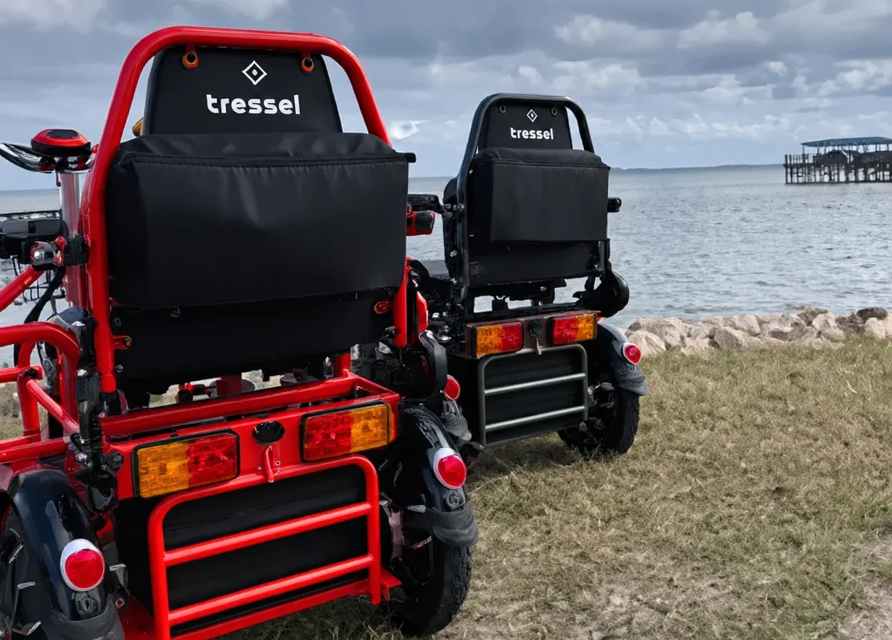 Electric Trikes for Sale: What Makes a Smart Purchase